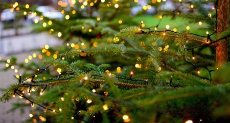 Christmas Tree Lighting & Santa’s Workshop