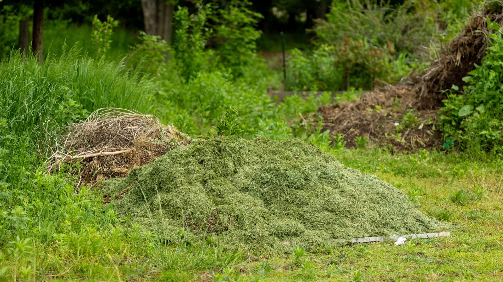 Yard/Green Waste Collection Details